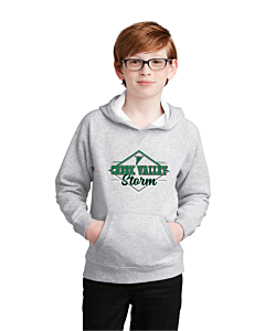 Sport-Tek® Youth Drive Fleece Pullover Hoodie - Logo 1 - DTG
