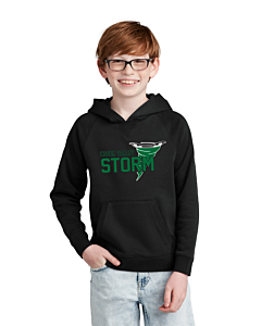 Sport-Tek® Youth Drive Fleece Pullover Hoodie - Logo 2 - DTG